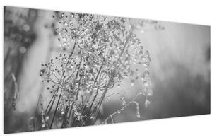 Kép - Mező az eső után (120x50 cm)