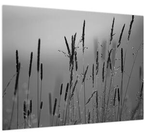 Kép - Fűszálak (70x50 cm)