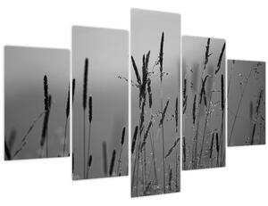 Kép - Fűszálak (150x105 cm)