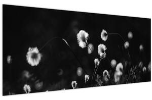 Kép - Gyapotfűvel borított rét N⁰1 (120x50 cm)