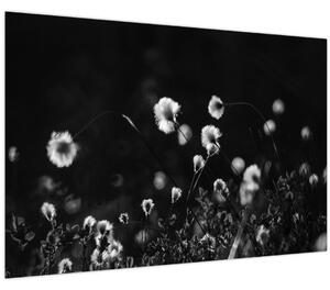 Kép - Gyapotfűvel borított rét N⁰1 (90x60 cm)