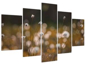 Kép - Gyapotfűvel borított rét N⁰2 (150x105 cm)