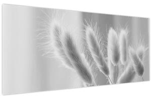 Kép - Nyuszi farok fű (120x50 cm)