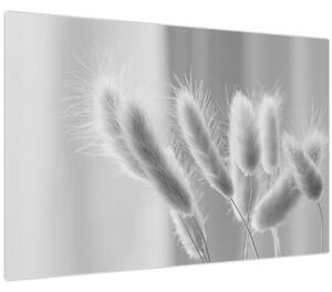 Kép - Nyuszi farok fű (90x60 cm)