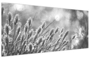Kép - Bézs színű puha fű N⁰1 (120x50 cm)