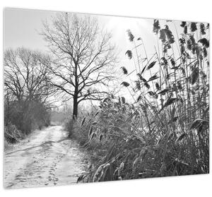 Kép - Mezők télen (70x50 cm)