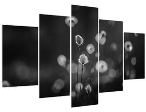 Kép - Pamutfű a réten (150x105 cm)