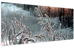 Kép - Fagyott rét (120x50 cm)