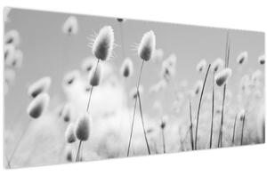 Kép - Boho nyuszi farok fű (120x50 cm)