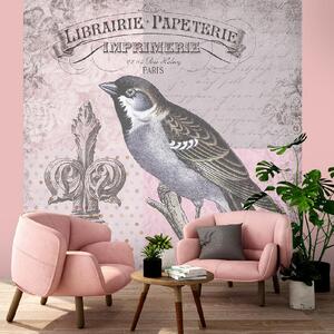 Gario Fotótapéta Természetes madár rózsaszín háttérrel - Andrea Haase Anyag: Vlies, Méret: 100 x 100 cm