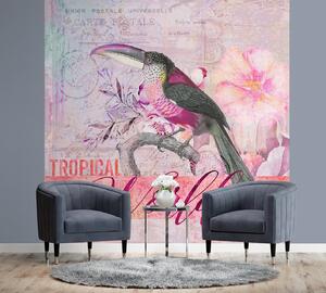 Gario Fotótapéta Papagáj rózsaszín árnyalatú természetben - Andrea Haase Anyag: Vlies, Méret: 100 x 100 cm