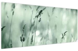 Kép - Zöld rét (120x50 cm)