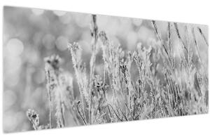 Kép - Hideg tél (120x50 cm)