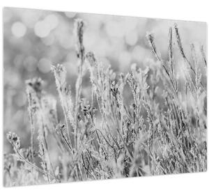 Kép - Hideg tél (70x50 cm)