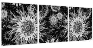 Kép - Fekete és fehér gyűszűvirág (órával) (90x30 cm)