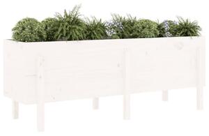 VidaXL fehér tömör fenyőfa kerti magaságyás 160 x 50 x 57 cm