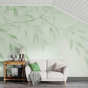 Fotótapéta Egy faág, Természet fotótapéta, Fotótapéta természet levelek, w05682v3 : Uwalls.hu