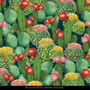 Fotótapéta Nagy kaktuszok Öntapadós 250x250cm