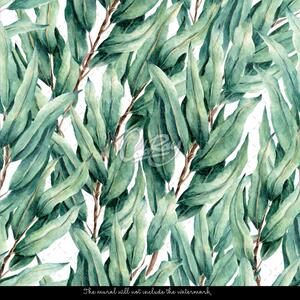 Fotótapéta Oleander levelek Öntapadós 250x250cm