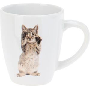 Kőporos bögrék készlete Cats 3 db, 220 ml