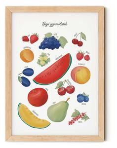 Hazai gyümölcsök - edukációs falikép gyerekszobába A4 (21x30 cm)
