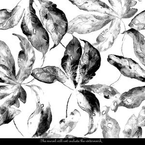Fotótapéta Fekete-fehér levelek Öntapadós 250x250cm