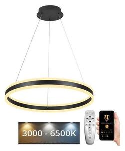 NEDES LED dimmelhető csillár zsinóron LED/85W/230V 3000-6500K + távirányítás ND3460
