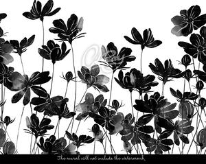 Fotótapéta Elegáns fekete virágok Öntapadós 250x250cm