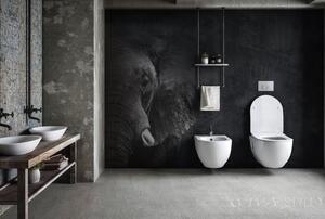 Sanovit BRILLA fali WC - rimless - perem nélküli - mély öblítésű
