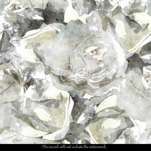 Fotótapéta Absztrakció a fehér rózsák témáján Öntapadós 250x250cm
