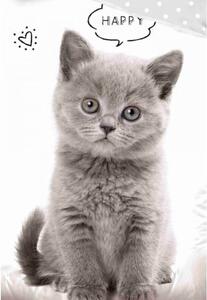 Pamut ágyneműhuzat - Brit kék cica