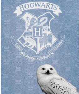 Gyerek takaró Harry Potter Hedwig a bagoly