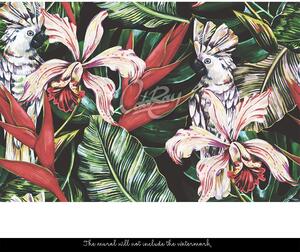 Fotótapéta A trópusi madarak és növények társaságában Öntapadós 250x250cm