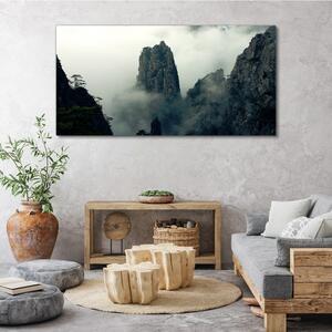 Vászonkép Hegyi köd ködfa felhők