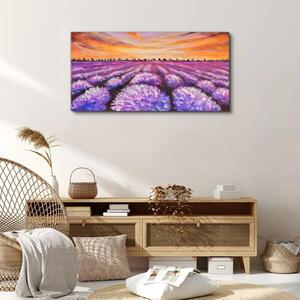Vászonkép Lavender Field Sunset