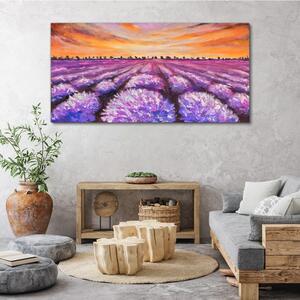 Vászonkép Lavender Field Sunset