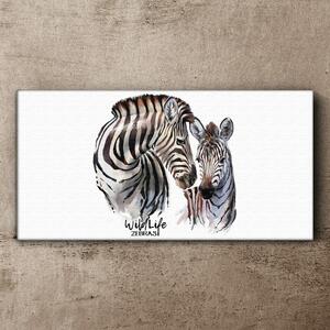 Vászonkép Zebra állati csíkok