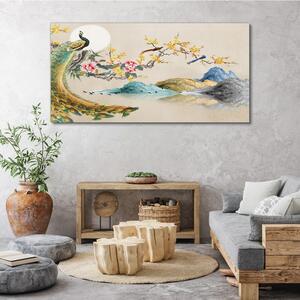 Vászonkép Absztrakt hegyi páva virágok