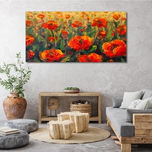 Vászonkép Poppy magvak virágai