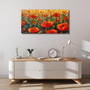 Vászonkép Poppy magvak virágai