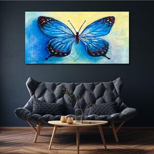 Vászonkép Rovar féreg pillangó