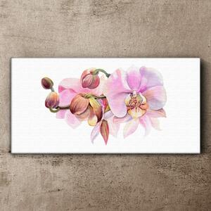 Vászonkép Akvarell orchidea virág