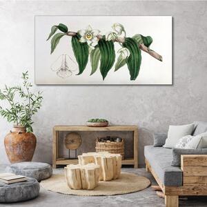 Vászonkép Rajzolás Floral Branches Orchideák