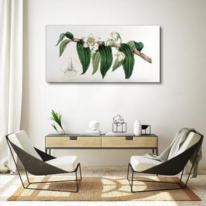 Vászonkép Rajzolás Floral Branches Orchideák