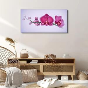 Vászonkép Akvarell virág ága Orchidea