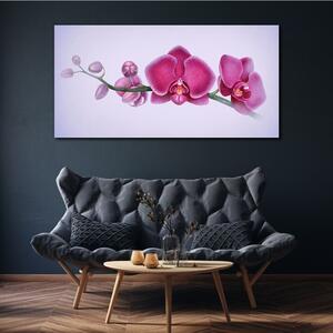 Vászonkép Akvarell virág ága Orchidea