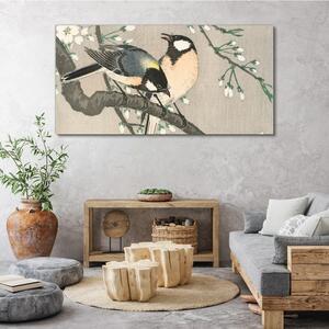Vászonkép Természet állatok madarak