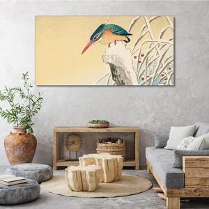 Vászonkép Állat madár rajz