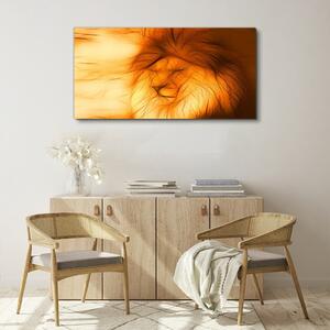 Vászonkép Absztrakt állat macska oroszlán