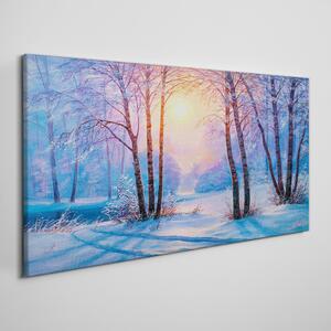 Vászonkép Téli erdő naplemente természete